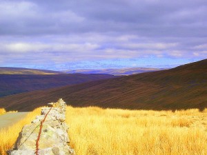 Spazi liberi...con l'aromaterapia e respirando oli essenziali