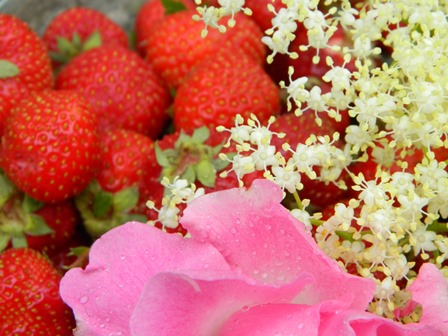 Fragole e fiori, aromaterapia e profumi