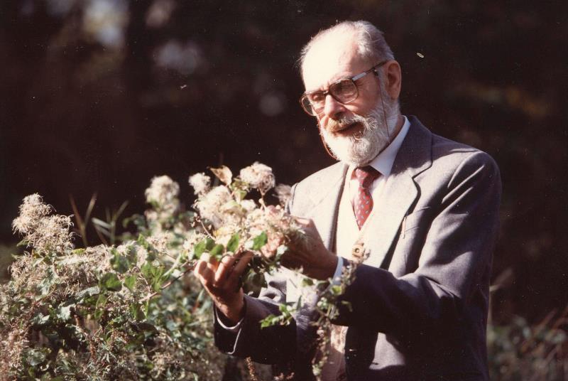 Aldo Poletti Aromaterapia