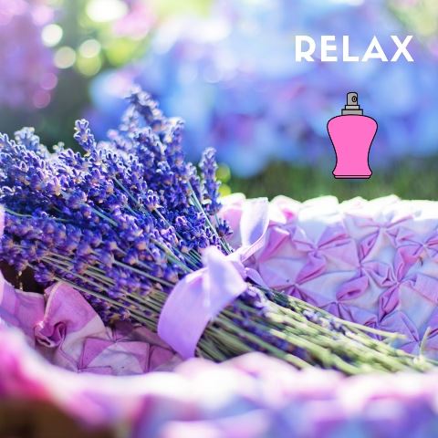 relax aromatherapy wellbeing