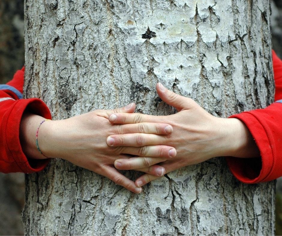 hands tree listening