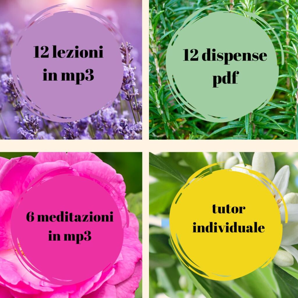 corso online di aromaterapia emozionale