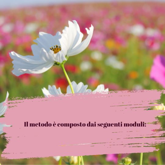 corsi online di aromaterapia e profumeria botanica