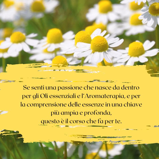 corso online di aromaterapia emozionale