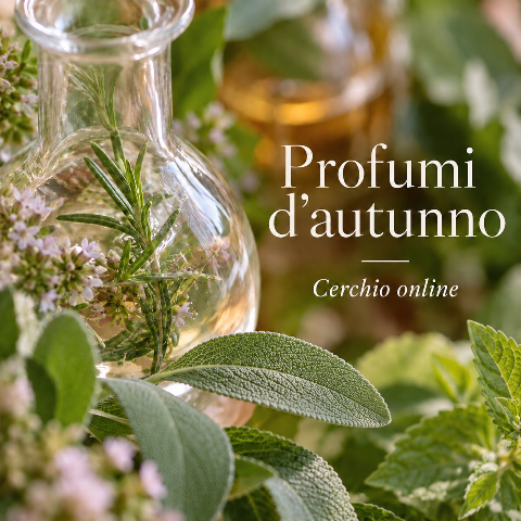 Profumi d'autunno cerchio online